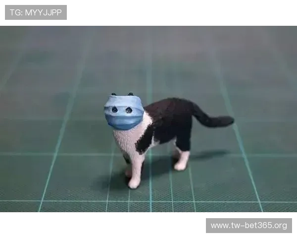 猫先生深夜游历旧城寻找失落记忆与温暖陪伴的奇妙冒险故事旅程